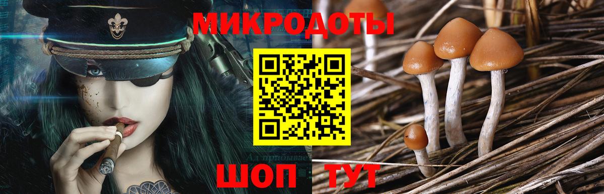 Галлюциногенные грибы GOLDEN TEACHER  Вход с VPN  Петрозаводск 