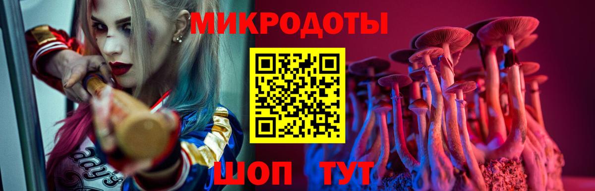 Галлюциногенные грибы мухоморы Петрозаводск